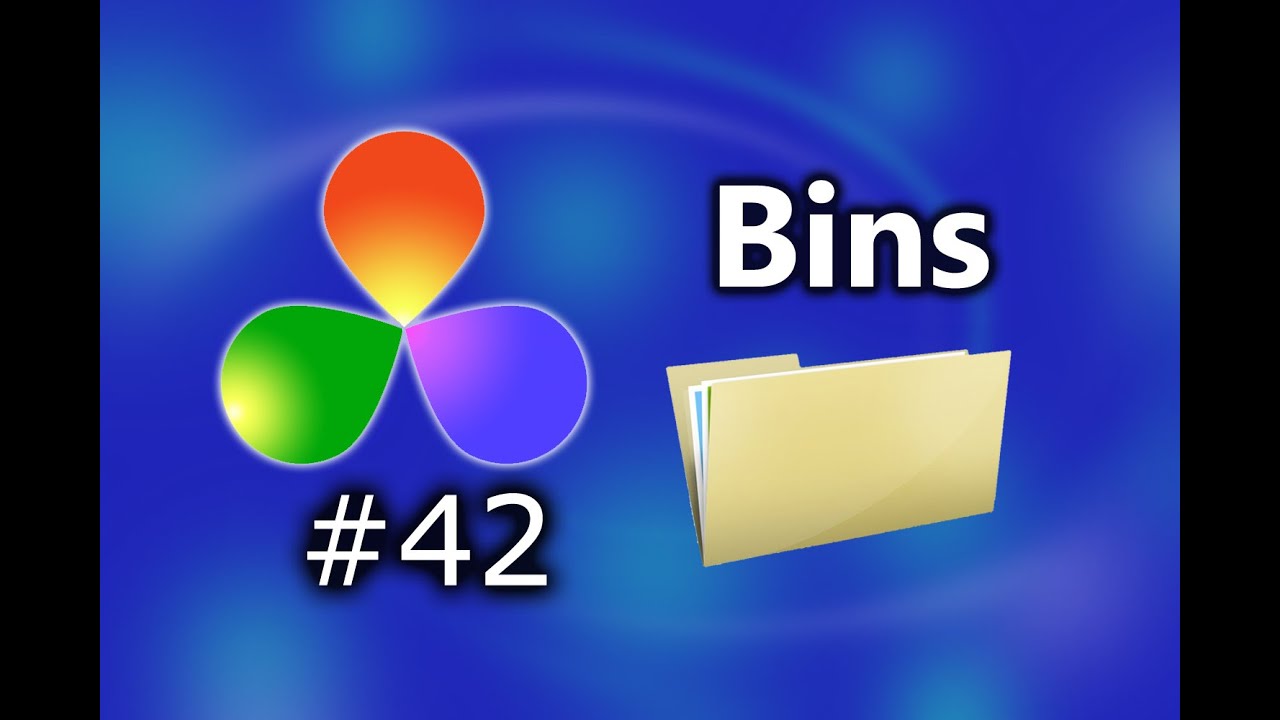 Bins In DaVinci Resolve 16.1.2
