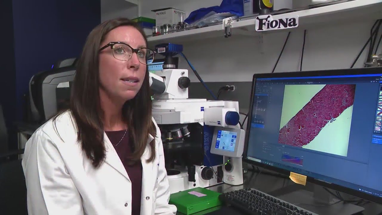 Potential treatment may help patients with muscular dystrophy