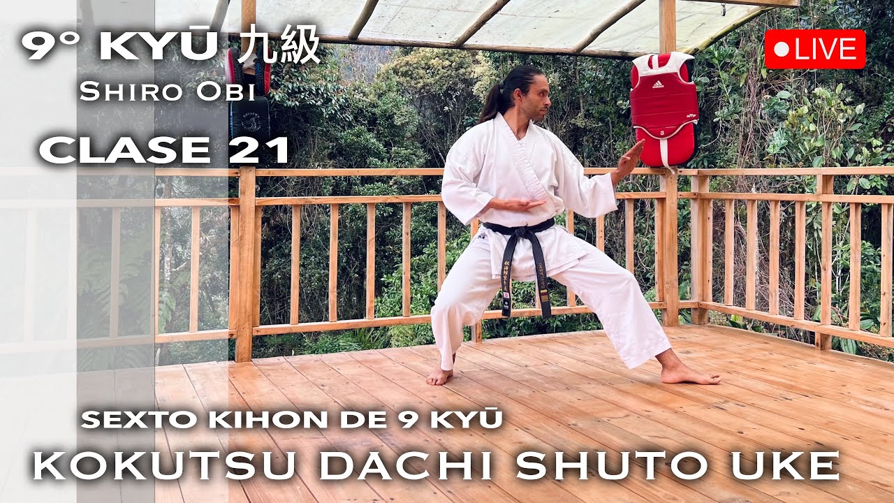 CLASE 21: SEXTO KIHON 9 KYŪ / KOKUTSU DACHI SHUTO UKE en desplazamientos