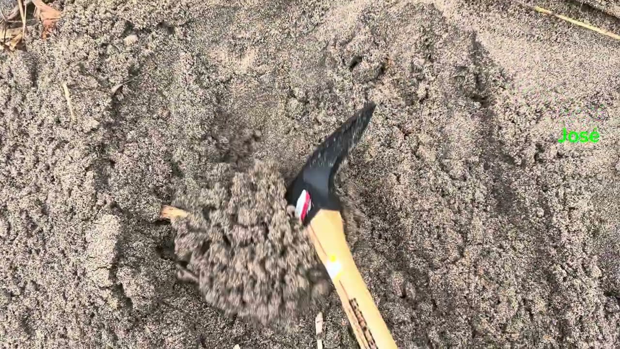 Buscando tesoros en la playa 🏝️ ⛏️⛏️🪏🪏🔎🔎