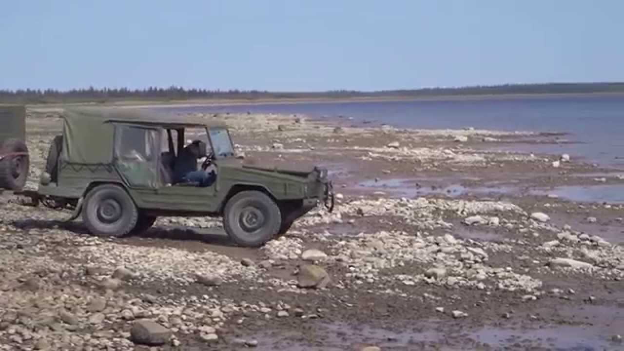 Iltis in James Bay Canada