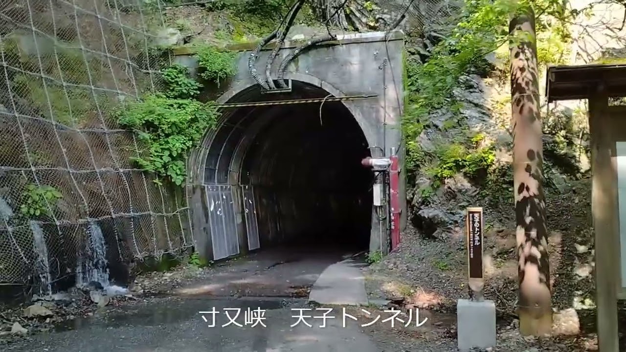 A fraud (ｱ ﾌﾛｰﾄﾞ) ｲﾝｽﾄﾙﾒﾝﾀﾙ