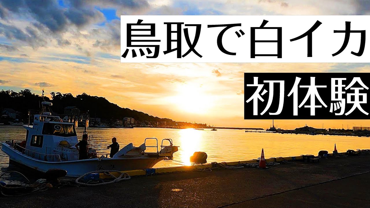 【爆釣】高級なシロイカが簡単に釣れるので価値観おかしくなる
