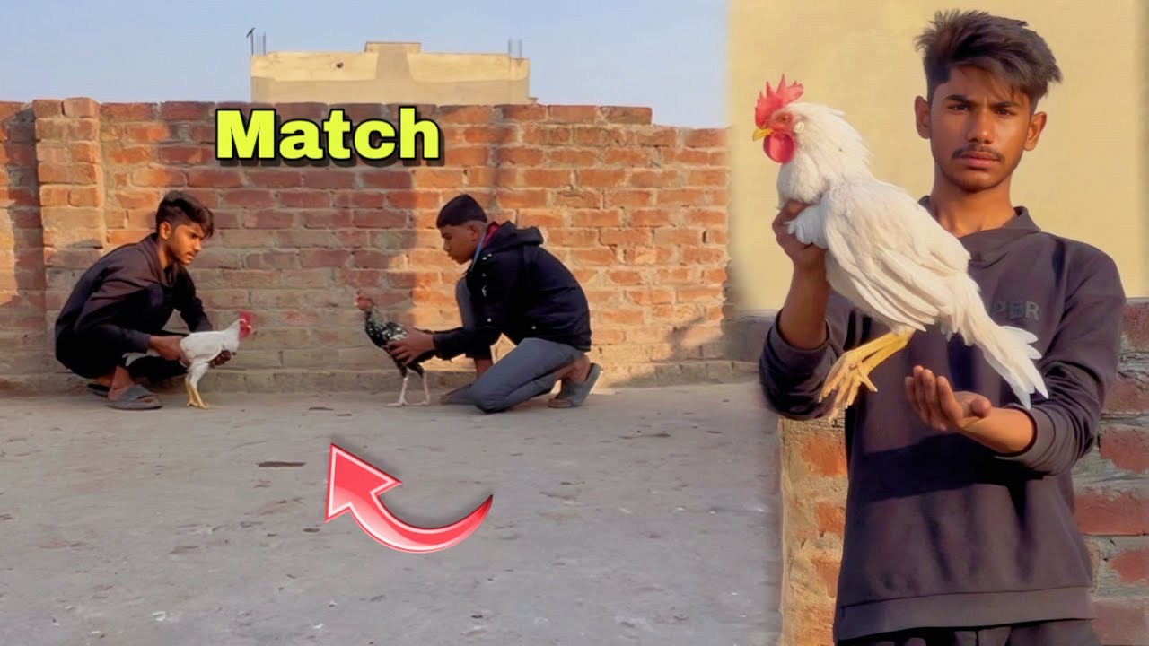 Bablu ka match fixed😱