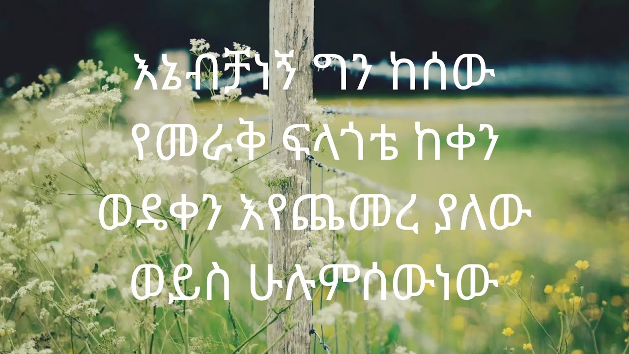 አደይ #ክፍል #198//