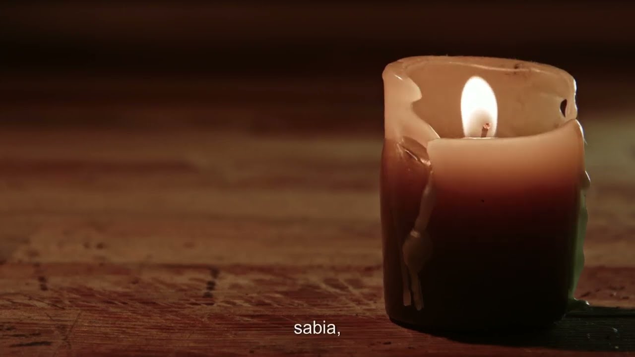 GRATITUD  (meditación guiada)