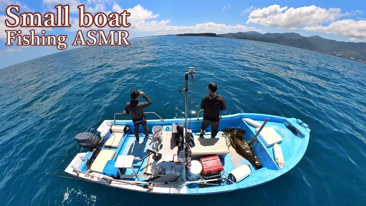 [ASMR] 春の海でいろんな魚が釣れるこのタイラバがすごい