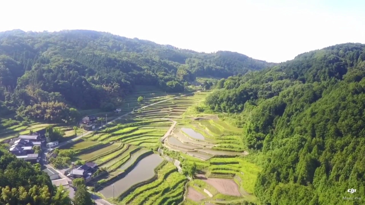 佐用の美しい棚田『乙大木谷』〜田園風景〜2017.06.09〜