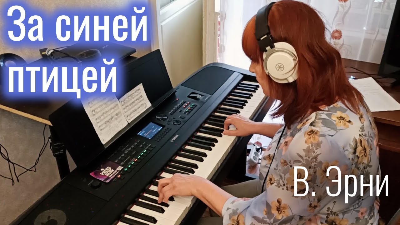 За синей птицей | Instrumental Cover
