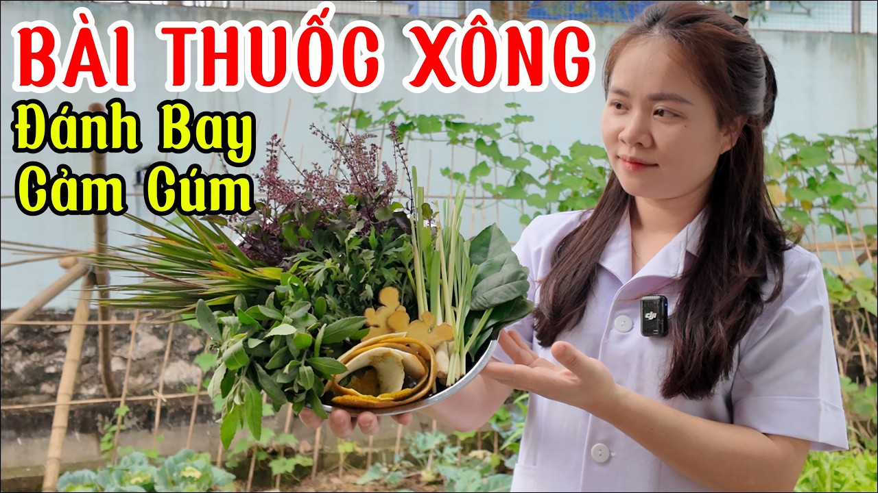 Bài Thuốc Xông Gia Truyền Chữa Cảm Cúm: 100% Thảo Mộc Tự Nhiên, An Toàn Và Lành Tính.