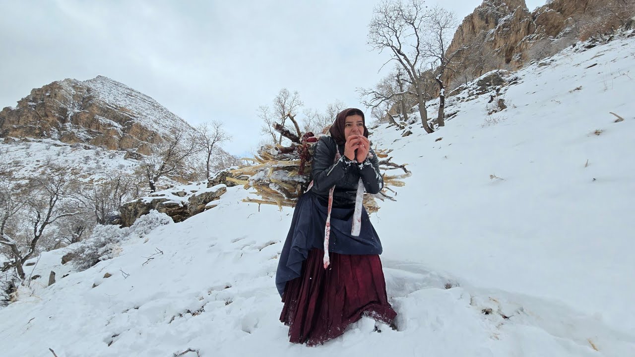 ❄️🏔️From the doctor to the frozen mountain: Kulthum's firewood collection in the bone-chilling cold🪵