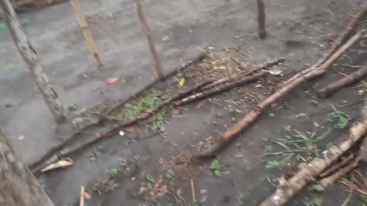 Tempo de chuva chegou na invasão 