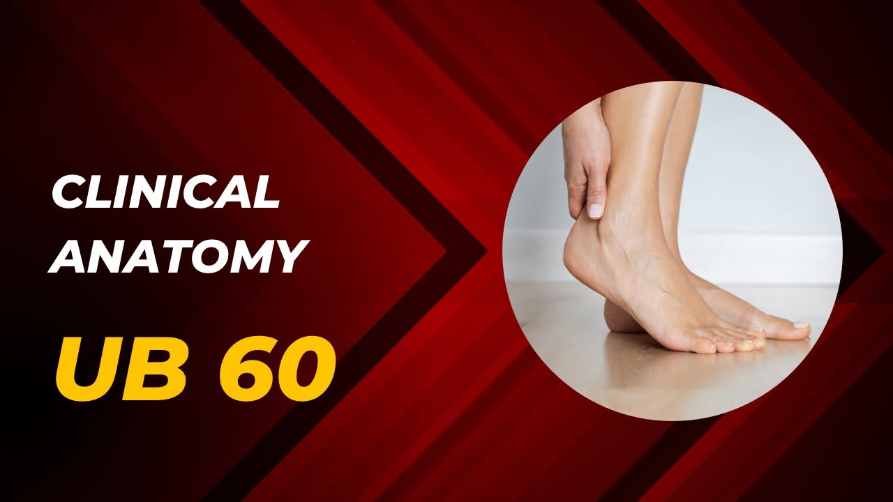 The Clinical Anatomy of UB 60 (Kunlun)