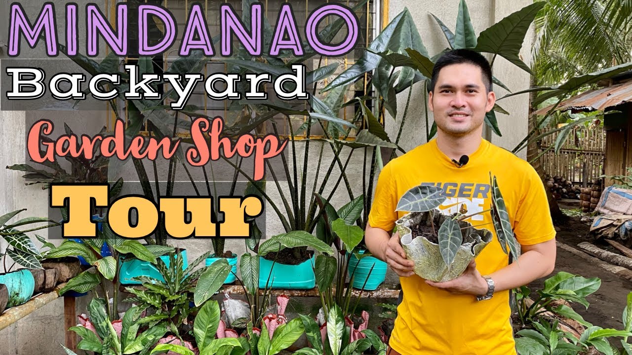 MINDANAO BACKYARD GARDEN SHOP TOUR | MURANG HALAMAN IN MINDANAO | AFFORDABLE PLANTS SELLER
