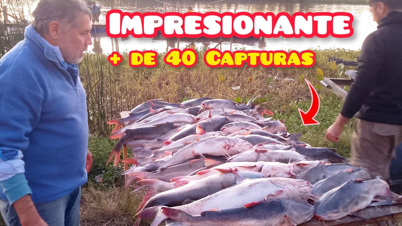 LOS BAGRES GRANDES ESTAN ACÁ ! Pesca de bagres de mar