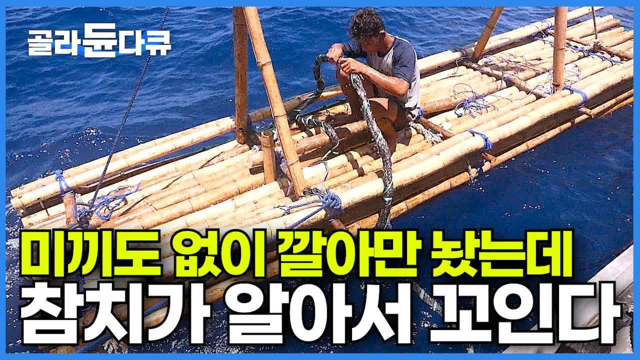 참치로 배를 가득채우는 비싸지만 가장 쉽고 확실한 방법┃한국 돈 200만 원! 한 번 깔면 10년 쓰는 인도네시아의 놀라운 어업 방식┃만선 참치잡이 롬폰┃인간과 바다┃#골라듄다큐