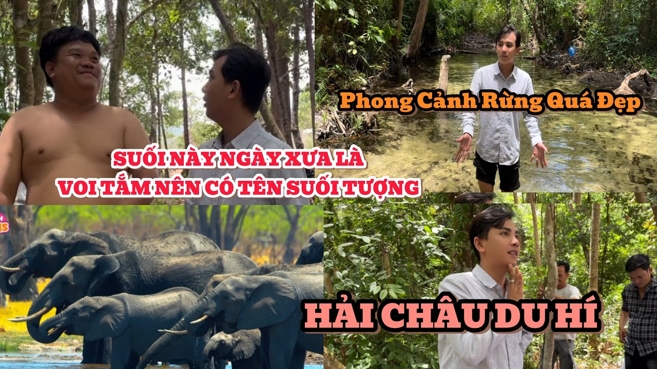 HẢI CHÂU DU HÍ 1| KHÁM PHÁ BẾN TƯỢNG, LÀ NƠI TẮM CỦA NHỮNG ĐÀN VOI VÀ BÂY GIỜ LÀ HẢI CHÂU TẮM