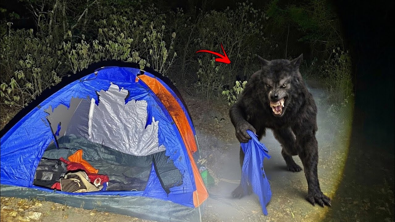 LOBISOMEM ATACA ACAMPAMENTO NO MEIO DA NOITE - Cenas Chocantes🐺🌕