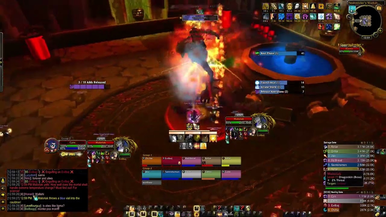 10man Heroic Maloriak - Holy Paladin PoV