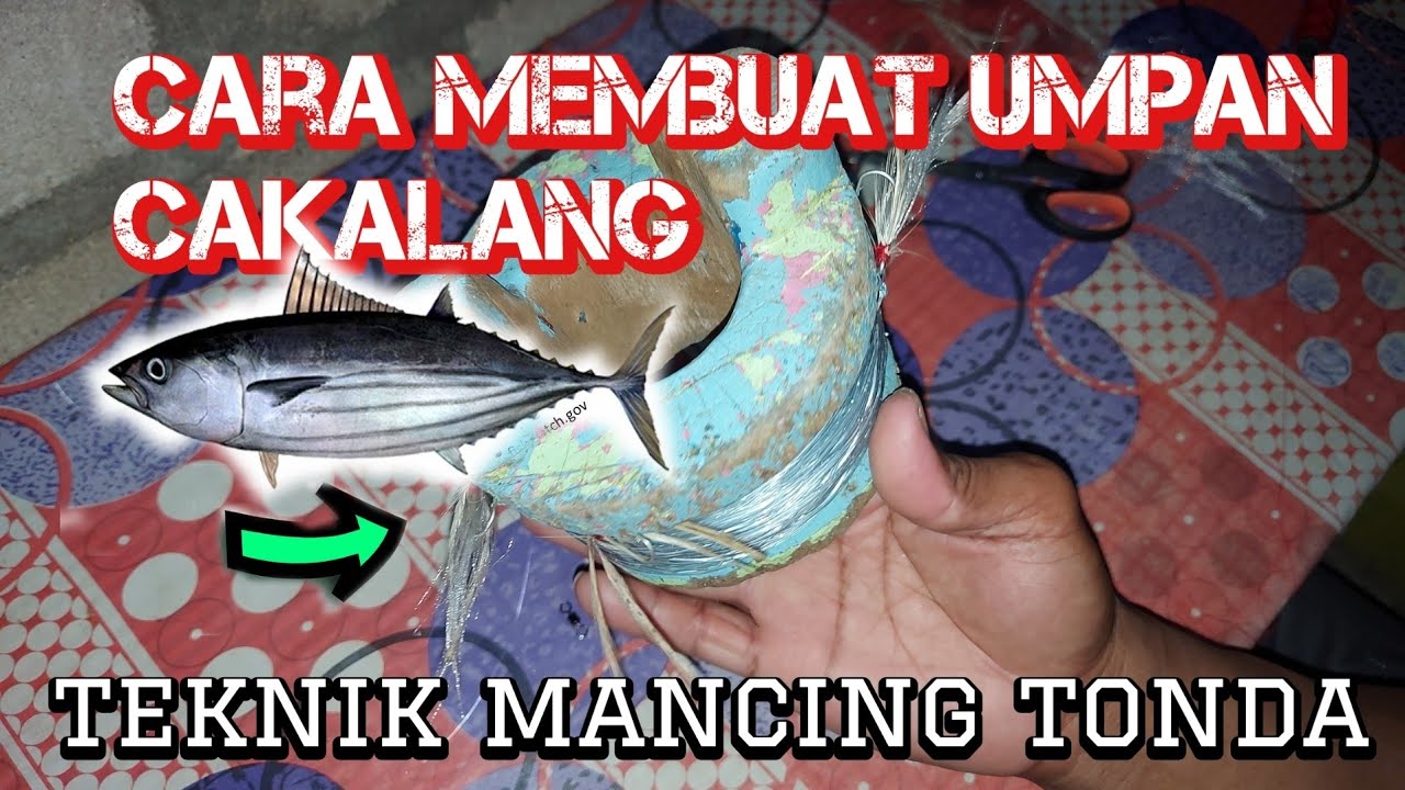 Teknik membuat umpan mancing tonda (versi bulu ayam kain sutra) mancing dasaraan**