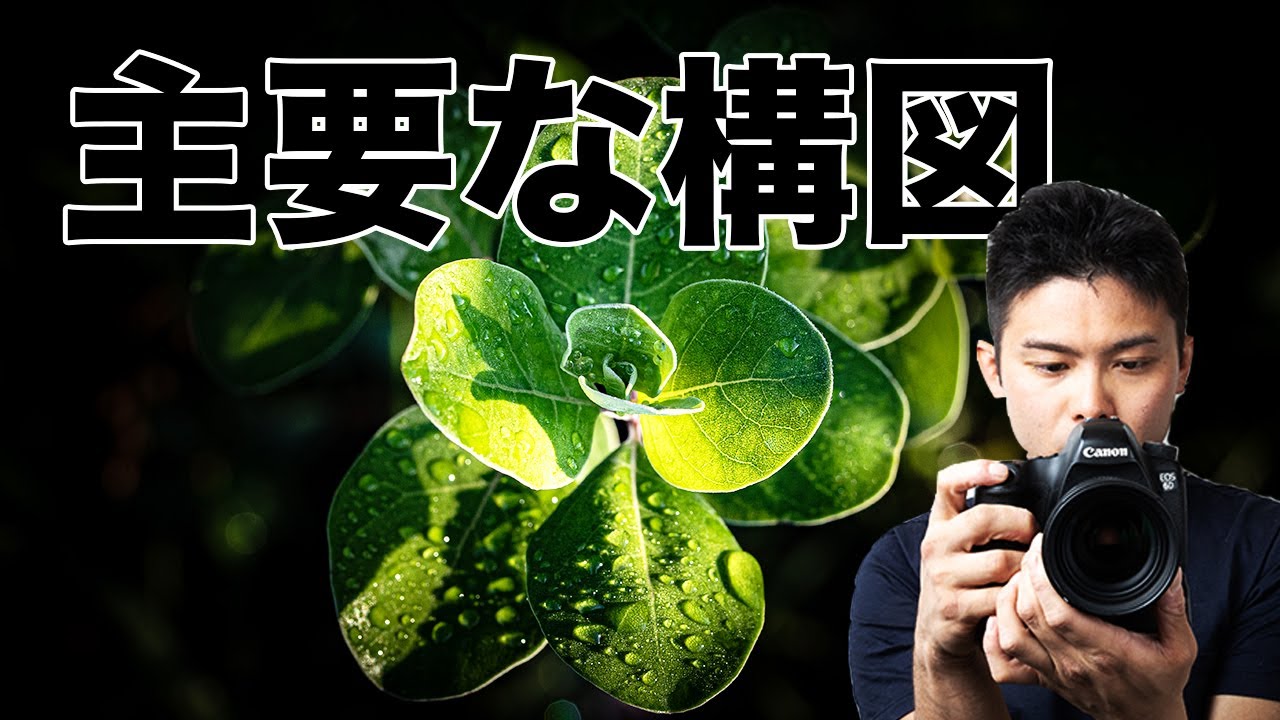 【写真の構図】これで怖くない！代表的な9つの構図！一眼レフ初心者必見！放射線構図、三角形構図、S字構図、日の丸構図、三分割構図、etc　それぞれ説明する前に、構図の3つの役割も紹介！