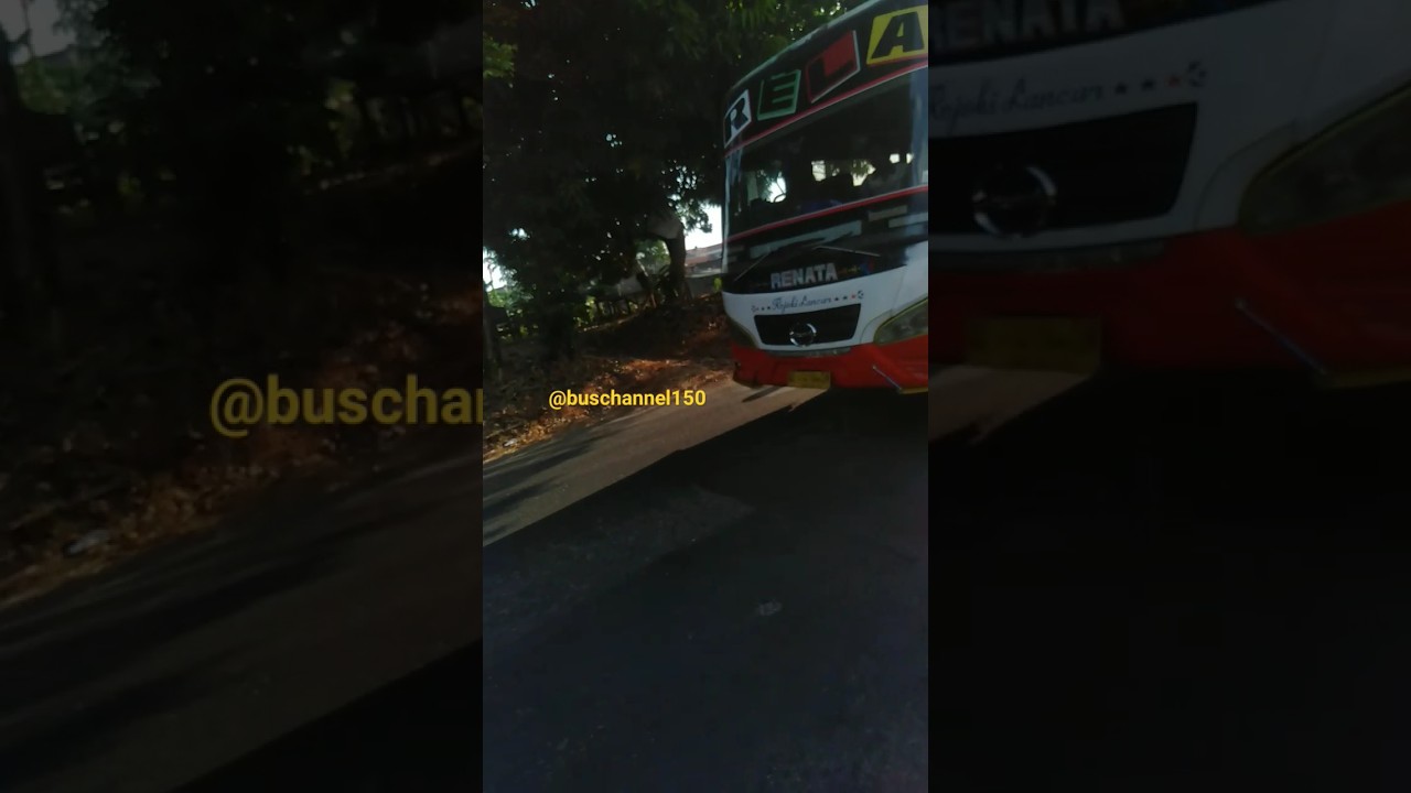 BUS BALAPNYA SOLO PURWODADI 😲 || RELA RENATA || CARE BEBEK WEKWEK 