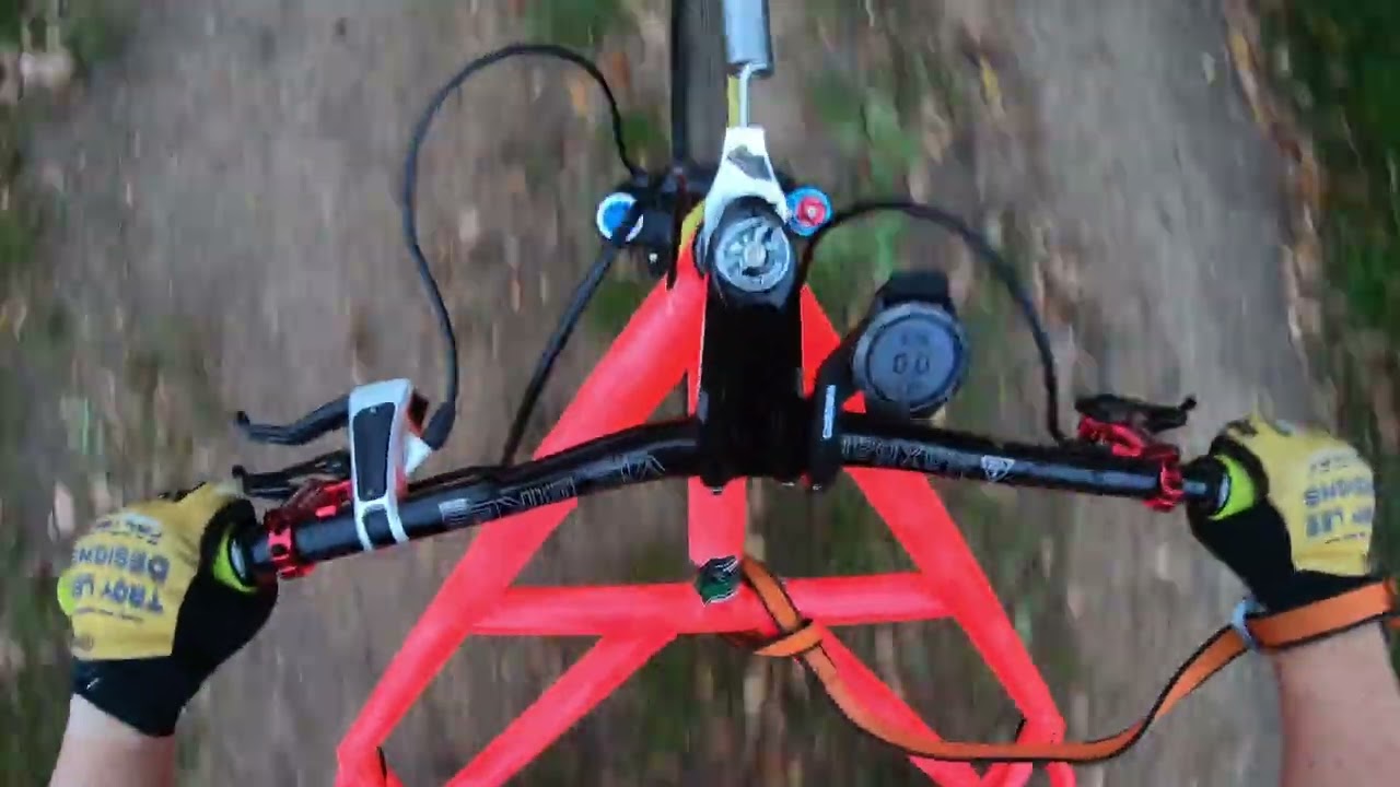 Kart 3 roue avec 2 Malinois 