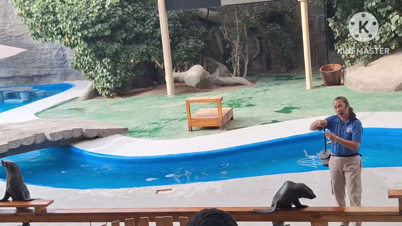Emirates park zoo