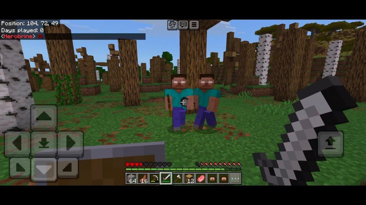 Herobrine is REAL?! My Minecraft HARDCORE Survival is Over