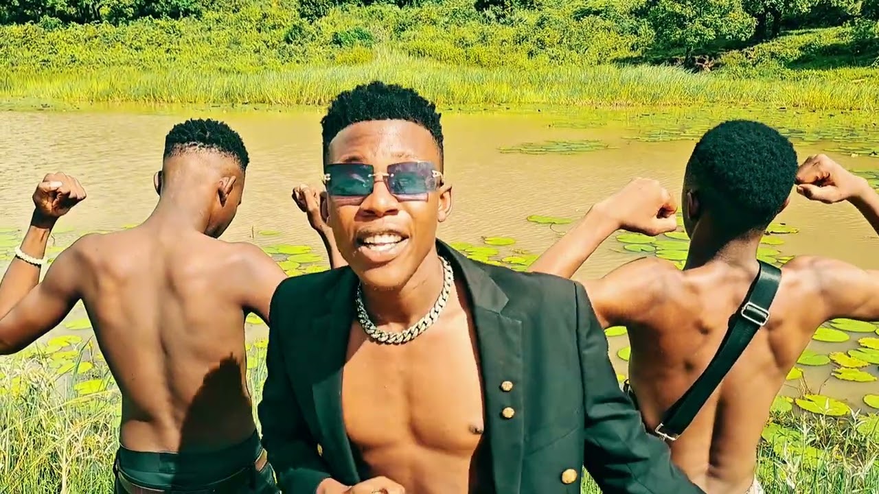 Elmine _Energy visualizer 