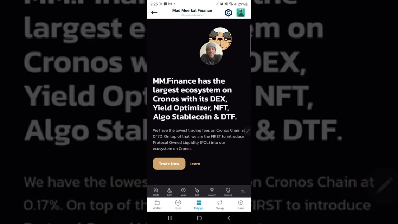 MMF vs Bored ape yacht club #mad #crypto