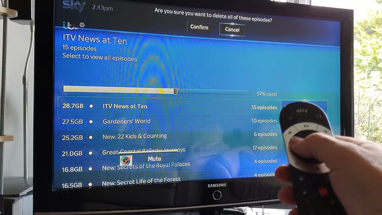 Как удалить несколько серий на SKY Q