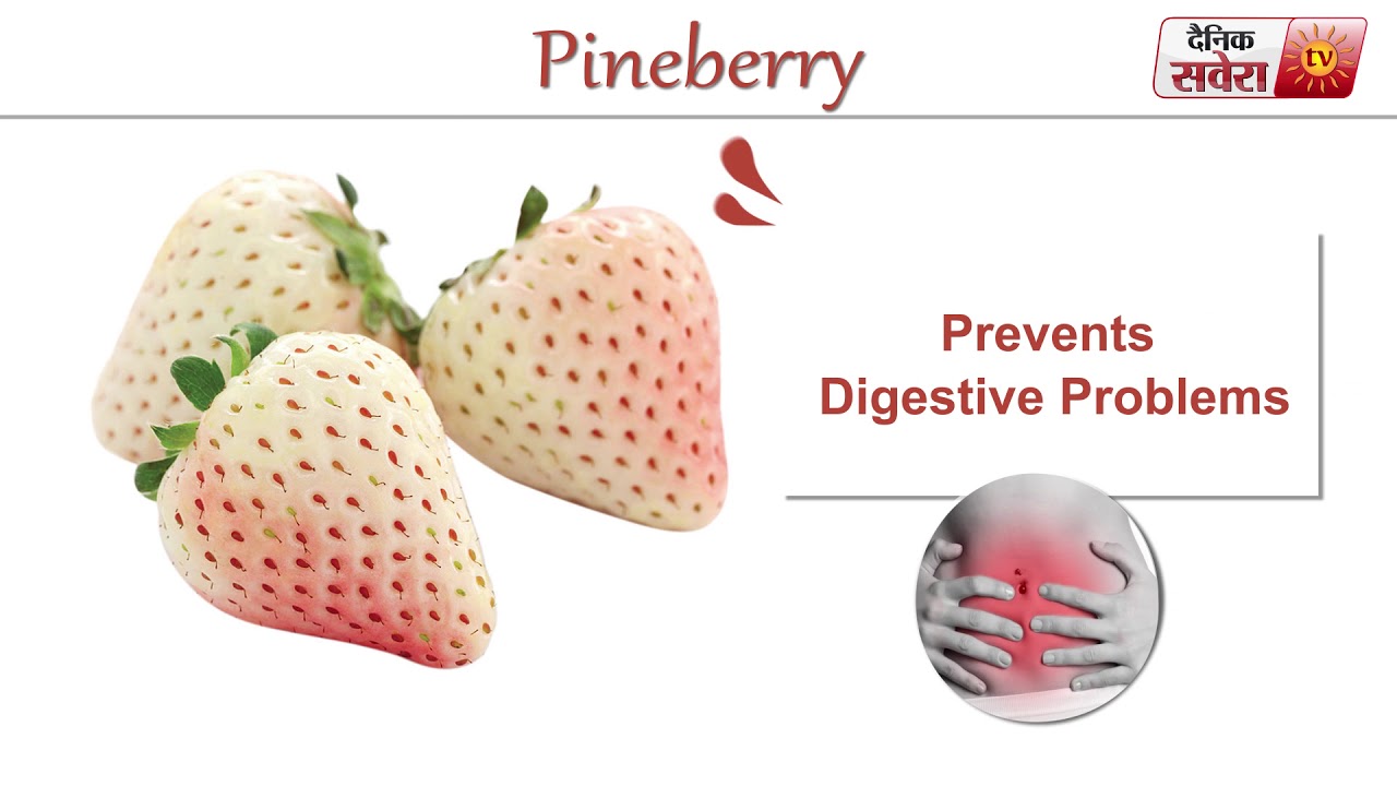 Tips Of The Day Food Facts : Pine Berry