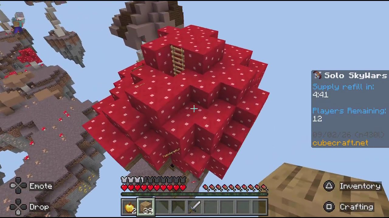 Epic skywars games