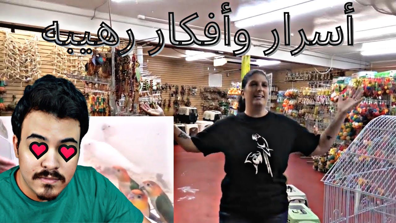 اجمل محل للطيور والببغاوات ومستلزماتهم ممكن تشوفه