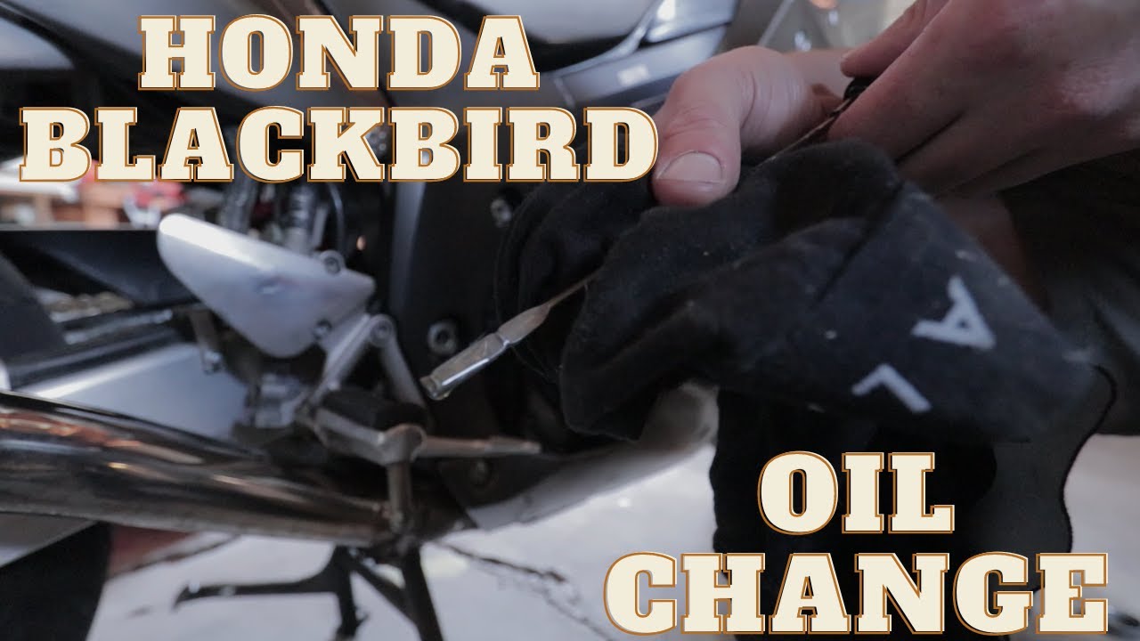 Honda Cbr1100 Blackbird — замена масла