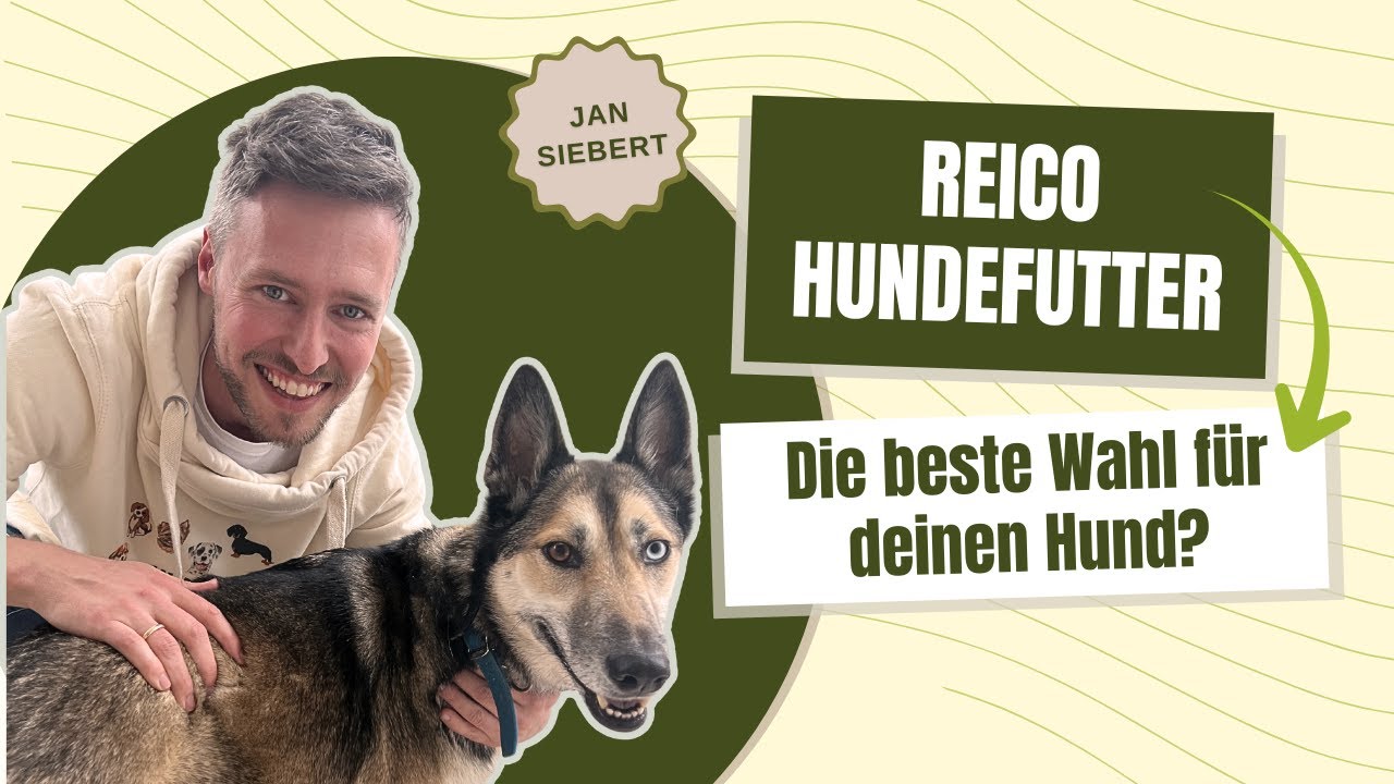 Reico Hundefutter – Die beste Wahl für deinen Hund?