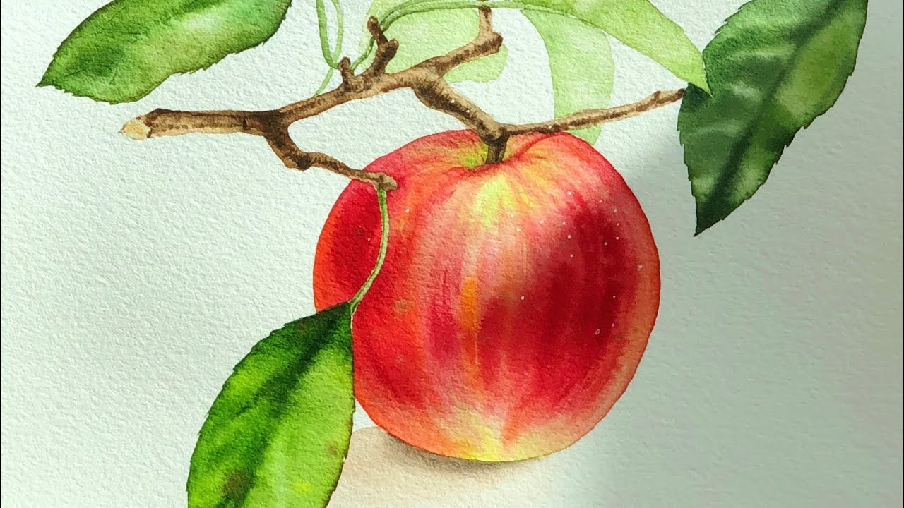 수채화 사과 그리기 / 사과 그림 어렵지 않아요! / watercolor painting apple