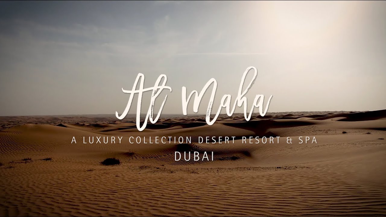 Al Maha, a Luxury Collection Desert Resort & Spa, Dubai - Luxury and Special Experiences