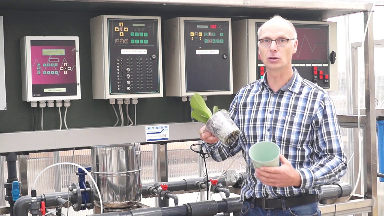 Wie dünge ich meine Orchideen richtig. Profitipps vom Orchideengärtner