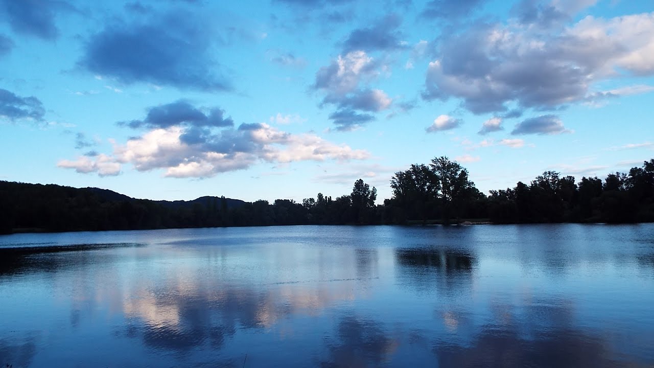 Methode Feedern am Fluss