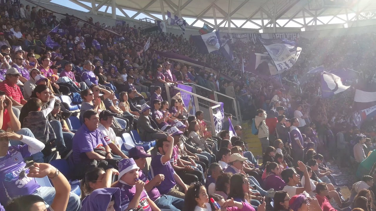 La gran fiesta del le&oacute;n de collao
