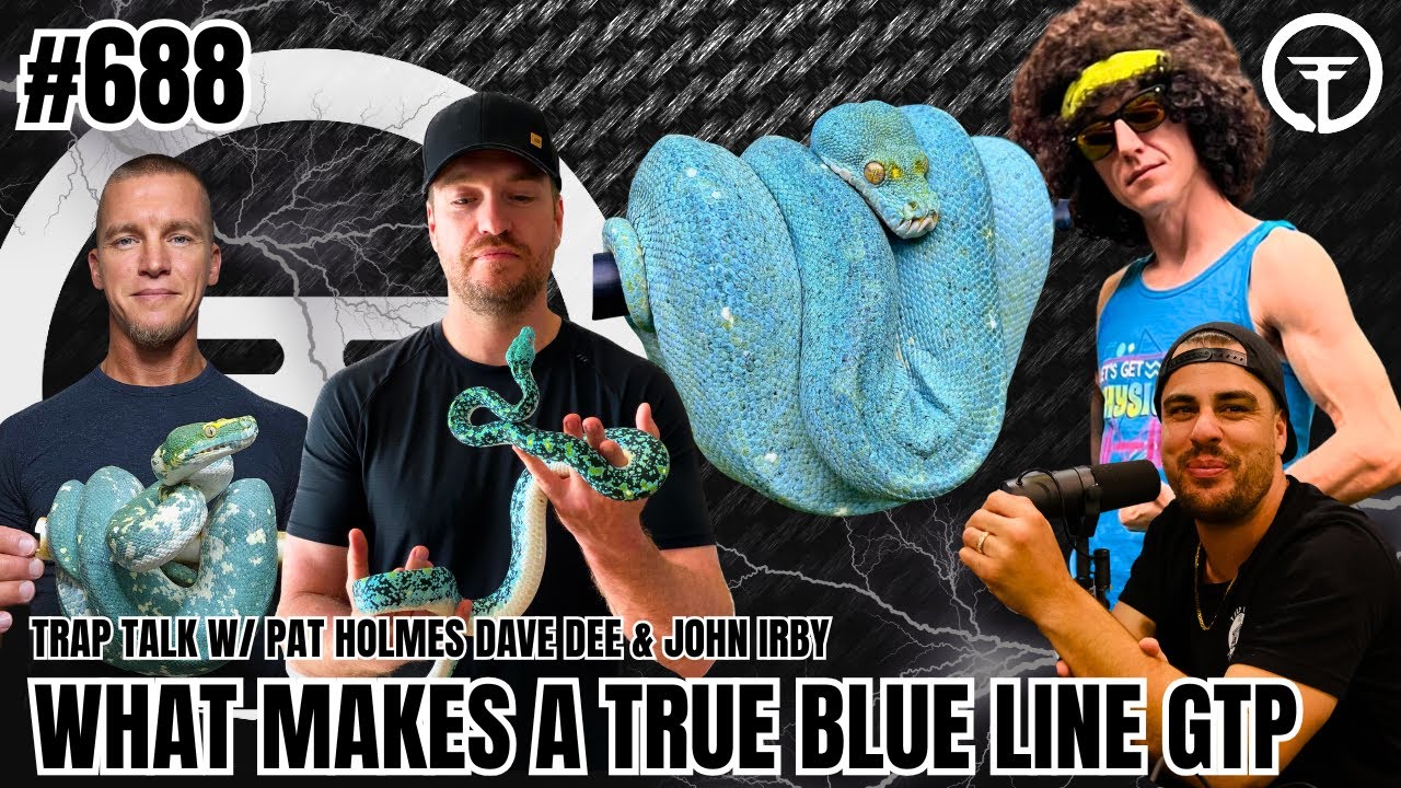 What Makes A TRUE Blue Line Green Tree Python | Trap Talk With MJ Live