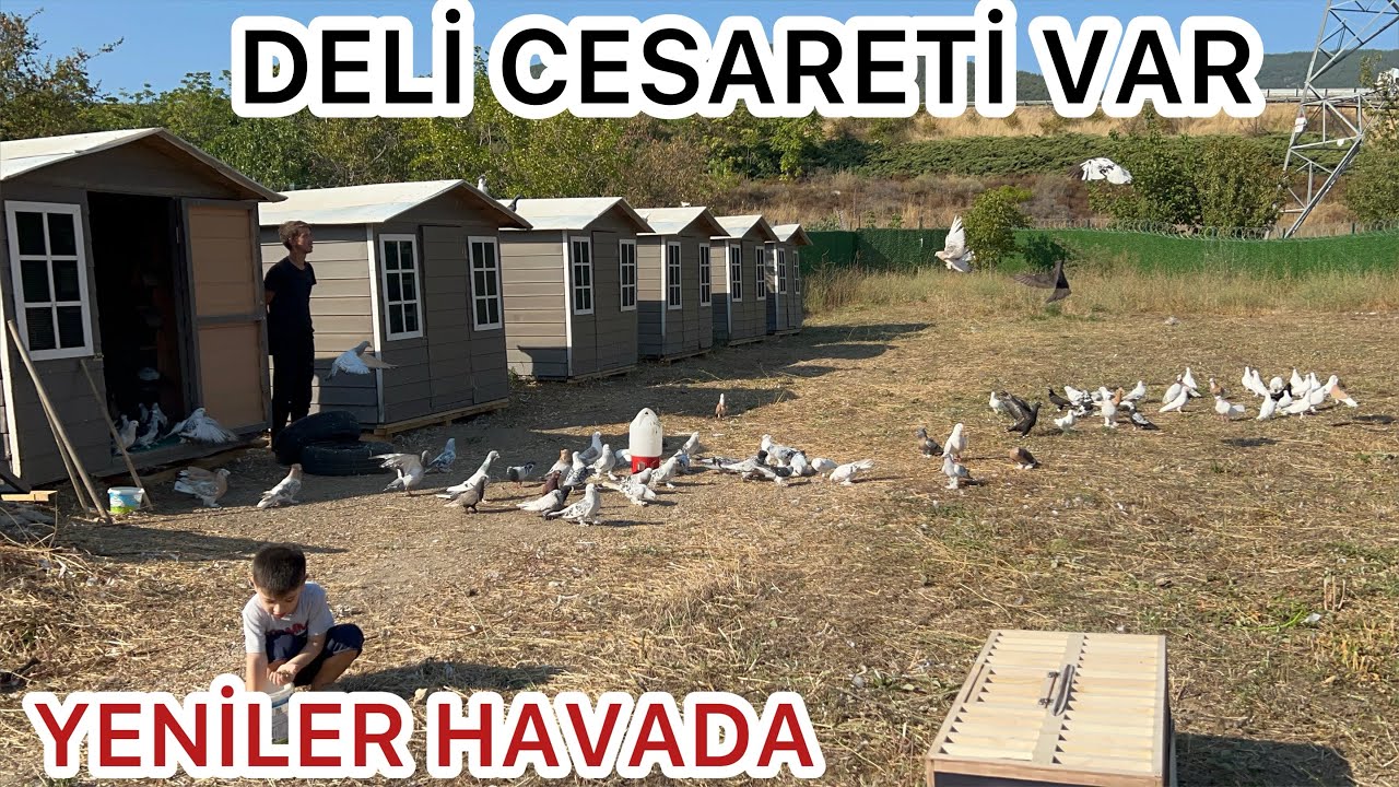 CESARETTE TÜM KUŞÇULARA MEYDAN OKUYORUZ