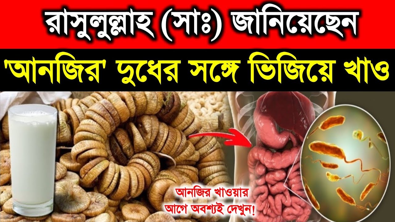 মুহাম্মদ (সাঃ) জানিয়েছেন আনজির দুধে মিশিয়ে খাও |Benefit Of Eating Figs With Milk | Islamic | health