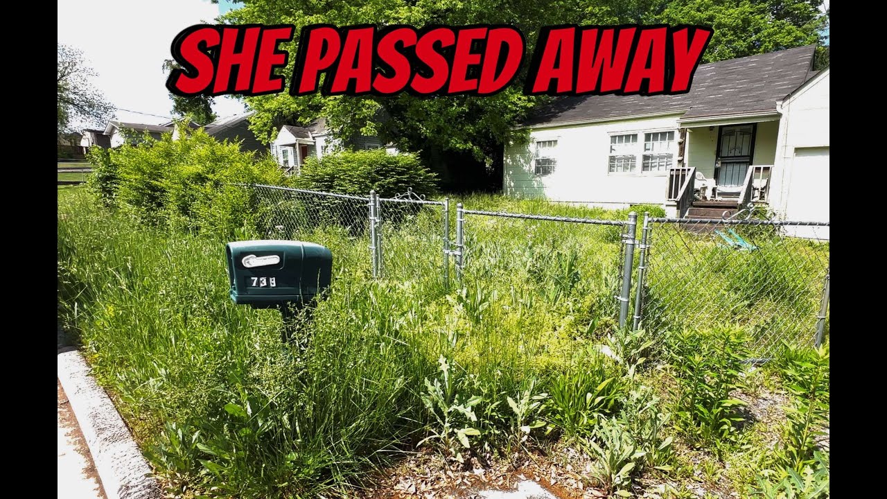No One Mowed This Lawn for Months… Until I Showed Up
