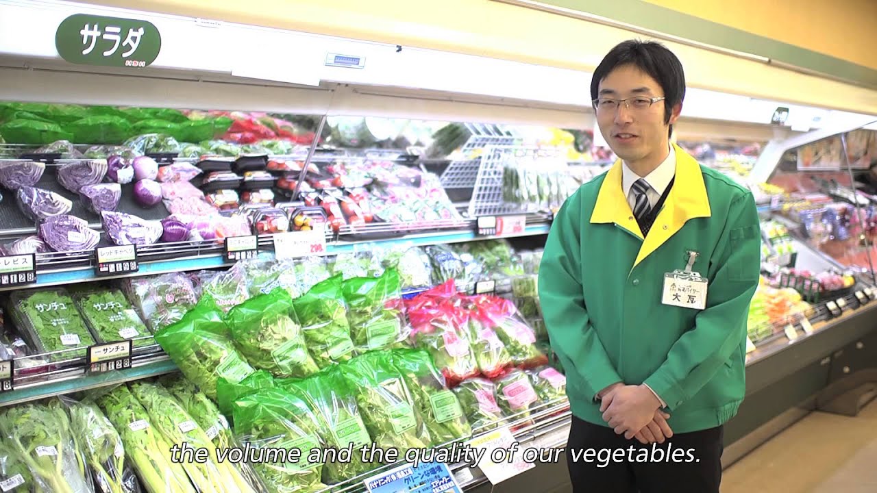 Panasonic Hydroponic Farming Solution