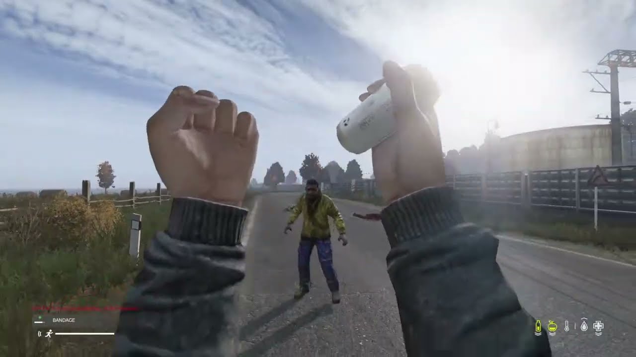 PVE Girl Gamer tries a community server! Solo Survival Gameplay on Chernarus