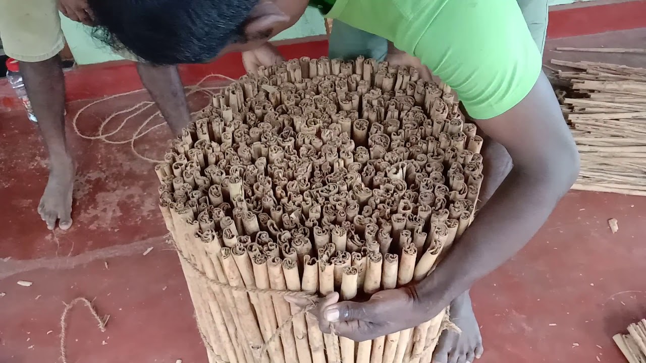 කුරුදු  වේලද පොලට  යැවිමට මිටි  බැදිම