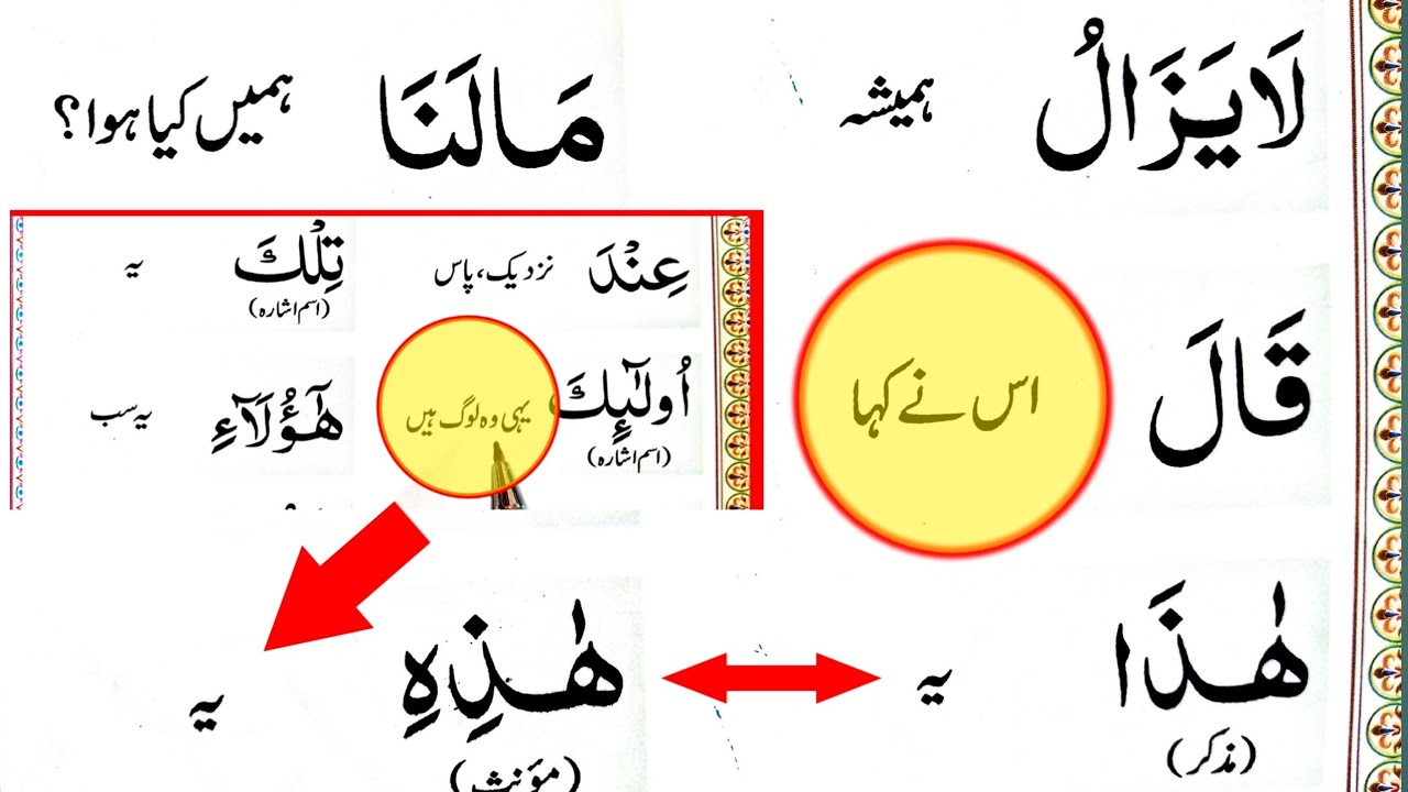 Don't Waste Time! 8 Facts Until You Reading Translation Of Quran Improved || @M_Waqas_Official_1